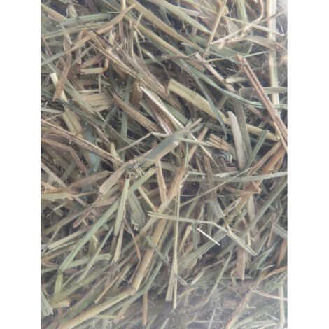 Foin alpage, pomme, betterave, 1 kg, pour rongeur. - animallparadise (1/4)