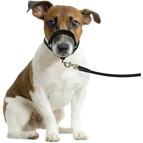 Harnais de dressage de tête museliere- noir XS - pour chien - Flamingo