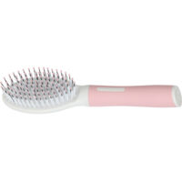 Brosse BI matière 21 cm pour chats - zolux