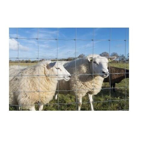 Grillage Noué  - Grillage A Moutons - Mailles Progressives - 1,50 mètre