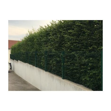 Kit Grillage Rigide Vert 10M - JARDIMALIN - Fil 4mm - Sur Platines - 1,23 mètre (1/4)