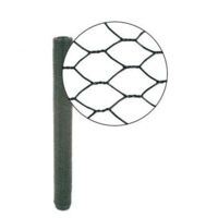 Grillage Triple Torsion Vert - Maille Hexa 13mm - Longueur 5m - 0,50 mètre