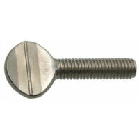 Vis violon inox - Longueur: 20 - Qualite Inox: A2 - Diamètre: 4