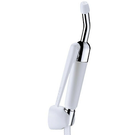 Delabie – Douchette à gâchette pour nettoyage bassin – Laiton chromé – Jet pur incliné 30° – Débit 4,5 l/min – Support mural inclus – 434000