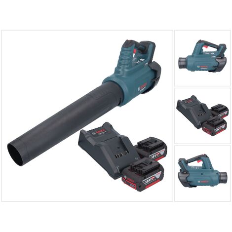 Bosch GBL 18V-750 Professional Souffleur sans fil 18 V BITURBO Brushless + 2x batterie 4,0 Ah + chargeur (1/5)