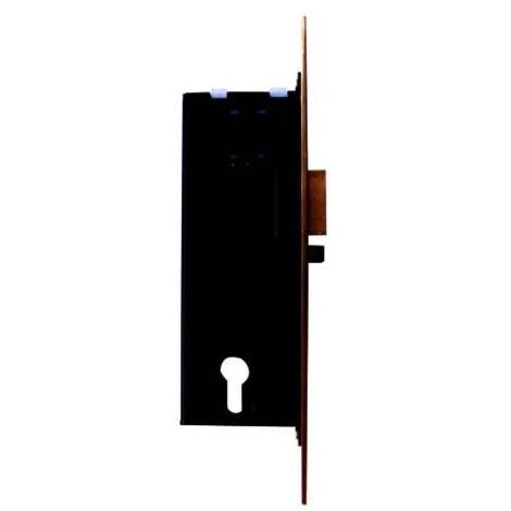 CISA - 12016-60 ELETTROSERRATURA DA INFILARE A CILINDRO ENTRATA mm.60 per porte legno - scrocco reversibile elettrificato e catenaccio con ritorno automatico - tensione 12V ca CE - 2 mandate