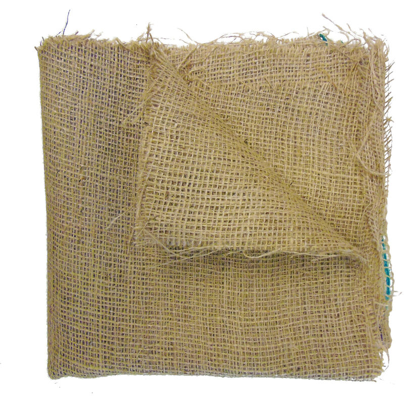 Inter Flowers GbH - 5 Paniers à Plantes Aquatiques 11 X 11 C - Noir