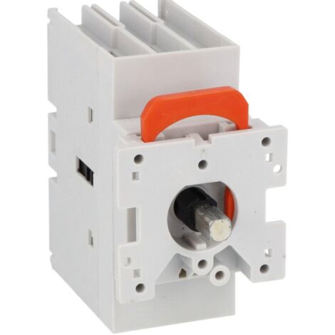 Sectionneur Lovato  tripolaire à montage sur porte 40A GA040C (1/5)