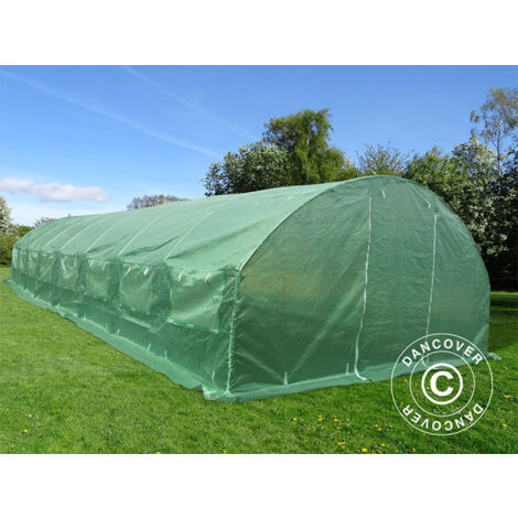 Polytunnel Greenhouse 4x10.6x2 m, 42.4 m², Green