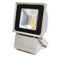 FARO PROIETTORE A LED AD ALTA LUMINOSITA' 100W 100 W LUCE BIANCA 6000K ESTERNO