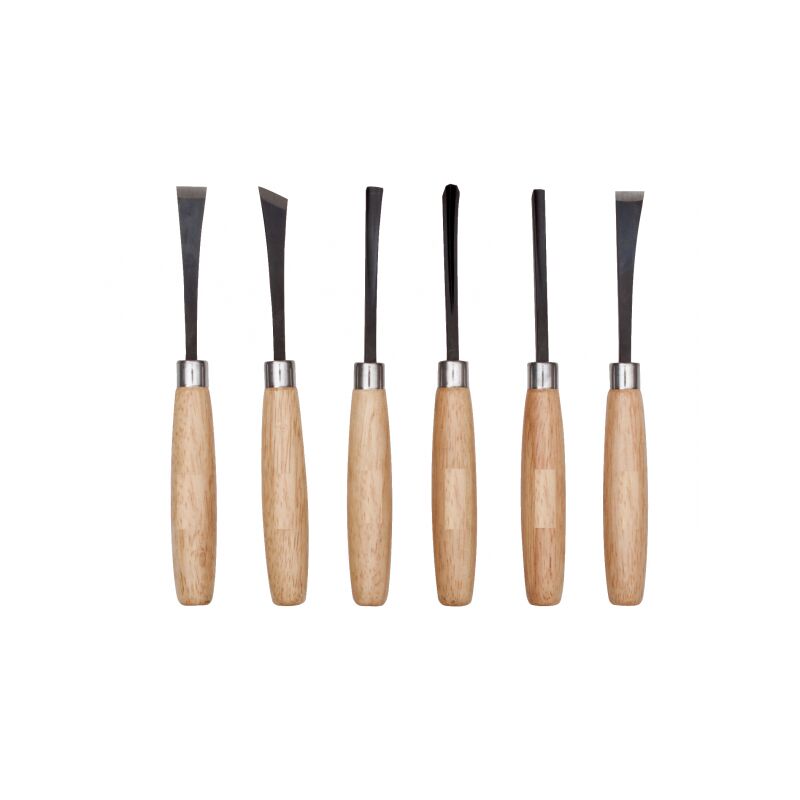 Set Di 10 Scalpellini Per Intaglio Legno - Strumenti Da Falegname Per Bricolage
