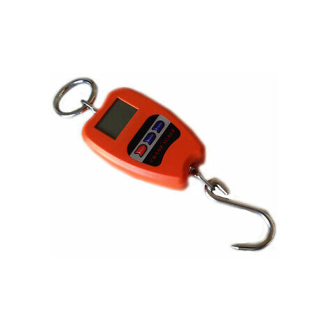 Bilancia 300 Kg Dinamometro Digitale Sospesa A Molla Appesa Industriale - Foto 6