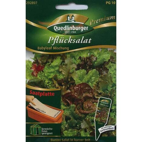 Fitness Pur Pflücksalat Saatgut – Mehr Als 1000 Samen, Babyleaf Mischung, 100% Natursamen