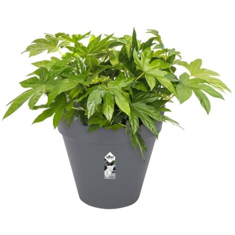 elho® Loft Pflanzkübel Urban 50 Anthrazit mit Rollen Ø 49 cm - Kunststoff