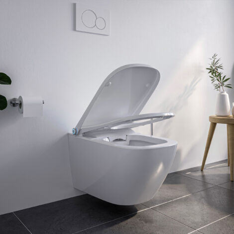 WC Multifunzione Bernstein PRO+ 1104 Con Elemento A Parete G3004A E Placca Di Comando 4111 Satinato - Pacco Completo 26