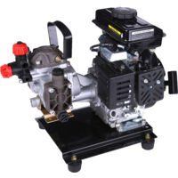 Bricoferr motor de pulverización de 4 tiempos 80 cc 2,5 HP 20 LPM