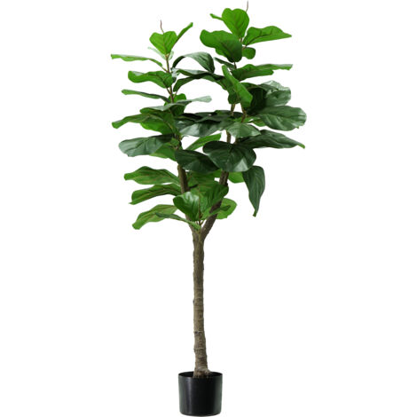 King Home pianta FICUS LYRATA H. 130 cm 60 FOGLIE completa di vaso con muschio