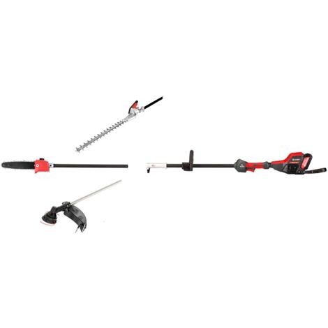 DECESPUGLIATORE MULTIFUNZIONE A BATTERIA 21V - 5Ah COMBI BC 22-800 BLUE BIRD