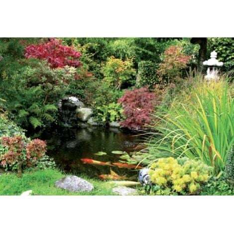 laghetto artificiale da 500 litri - verdemax 8609 - 3