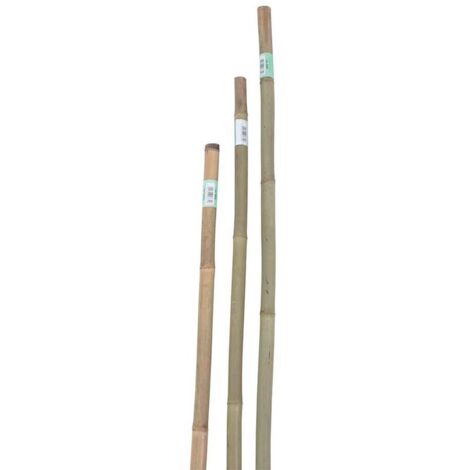 canna bamboo d 8-10 mm h106 cm 5 pezzi (1/2)