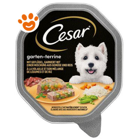 Cesar Cane Selezioni dell'orto 150gr Pollo Carote ed Erbe di provenza
