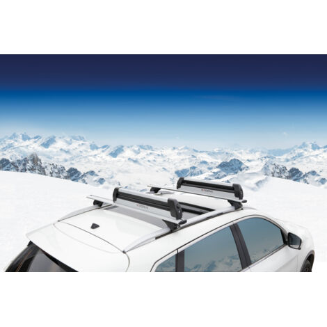 Porte-Skis Pro-Slider PS-60 - Pour 6 Paires De Skis Ou 4 Snowboards - Coulissant Et Antivol