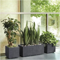 Fioriera Melfon XXL 39x39x41 Cm Con Sistema Di Irrigazione - Plastica Lucida Nera, Resistente Al Gelo