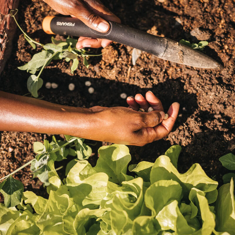 Plantoir Solid 4