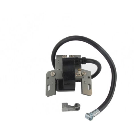Bobine Allumage Briggs Et Stratton (492341, 495859, 490586, 799650)