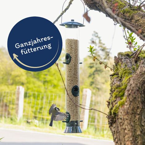 25 kg Lyra Pet® Erdnusskerne weiß gehackt