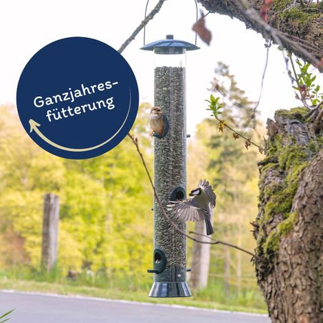20 kg Lyra Pet® Sonnenblumenkerne gestreift
