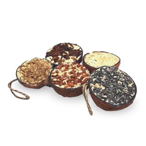 2 x 10 Stk. Lyra Pet® Halbe Kokosnuss gefüllt mit Topping