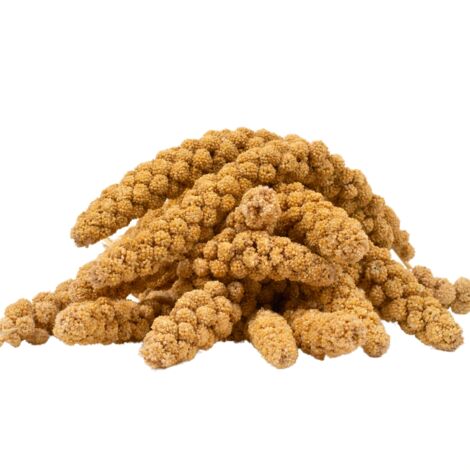 2 kg Lyra Pet® Kolbenhirse gelb