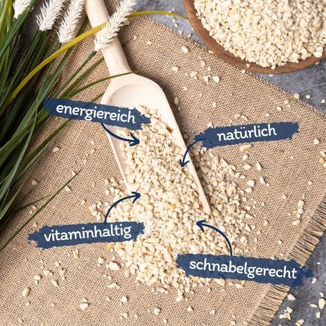 25 kg Lyra Pet® Erdnusskerne weiß gehackt Neue Ernte