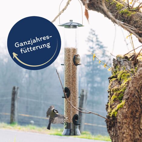 10 kg Lyra Pet® Sonnenblumenkerne geschält Neue Ernte