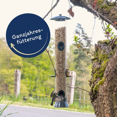25 kg Lyra Pet® Erdnusskerne gehackt mit Haut