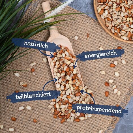 20 kg Lyra Pet® Erdnusskerne Splits gemischt blanchiert und mit Haut