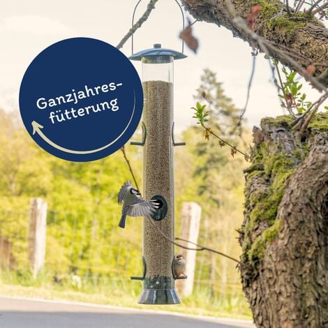 25 kg Lyra Pet® Sonnenblumenkerne geschält BRUCH Futterqualität  2. Wahl
