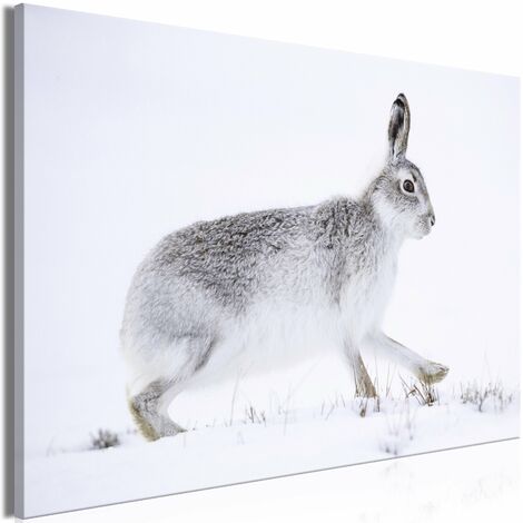Tableau toile de décoration murale impression premium en 1 partie sur châssis en bois motif Lièvre 90x60 cm 110014922 (1/3)