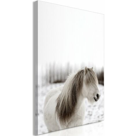 Tableau toile de décoration murale impression premium en 1 partie sur châssis en bois motif Crinière de cheval 20x30 cm 110014986 (1/3)