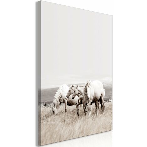 Tableau toile de décoration murale impression premium en 1 partie sur châssis en bois motif Chevaux blancs 20x30 cm 110014982 (1/3)