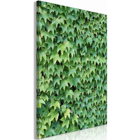 Tableau toile de décoration murale impression premium en 1 partie sur châssis en bois motif Lierre épais 20x30cm 110015829 (1/3)