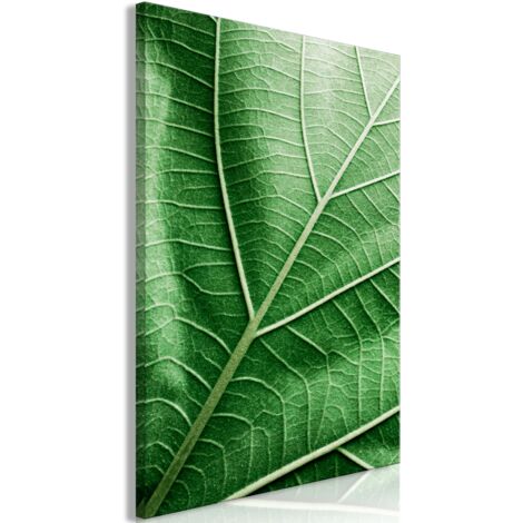 Tableau toile de décoration murale impression premium en 1 partie sur châssis en bois motif Feuille de malachite 60x90cm 110016051 (1/3)