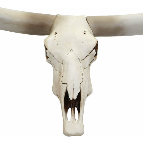 Déco crâne de vache tête de taureau trophée longhorn mural en polyrésine 103x43x11cm 040002819