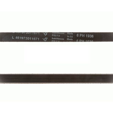 Correa Secadora 6PH 1936 (L461973011871) (1/2)