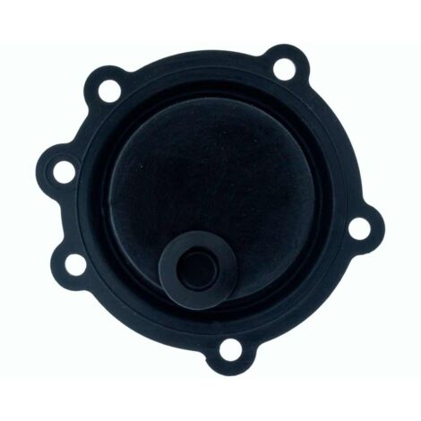 Membrana Calentador Beretta FONTE 11AE CCB81617 7720349 CCREAB81617 (1/2)