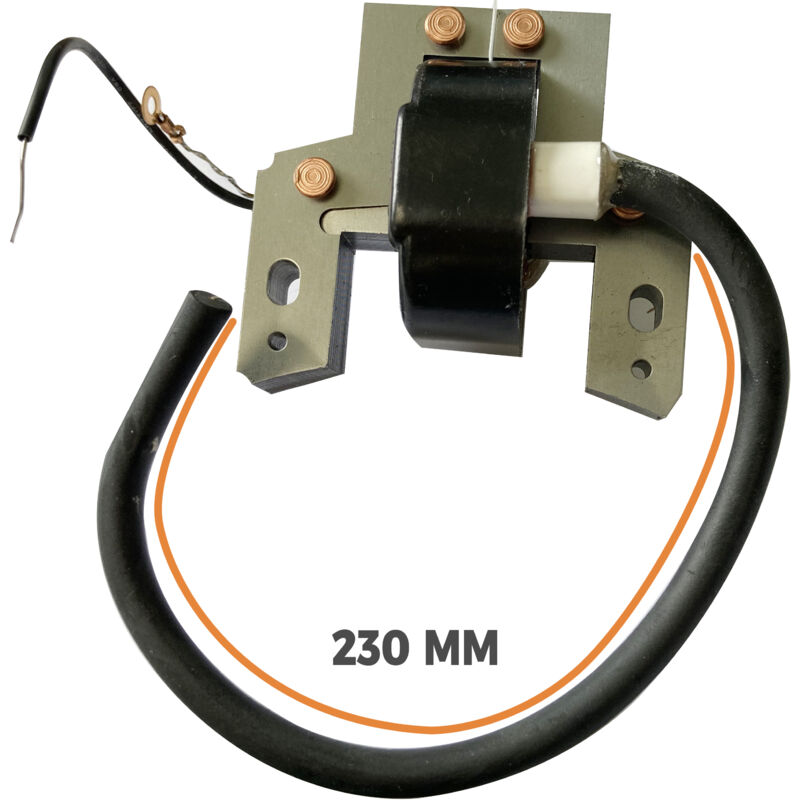 Bobine D'Allumage Classique Adaptable BRIGGS & STRATTON 298316 - Modèles 5CH à 13CH Verticaux
