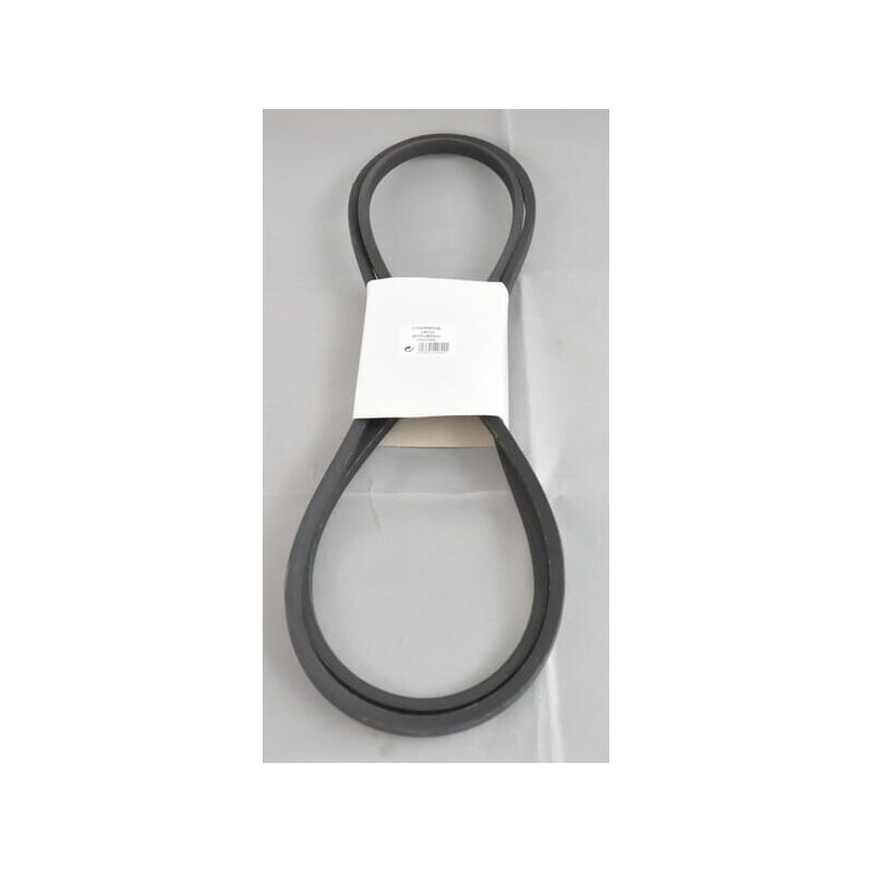 Courroie plate tracp 503 50 x 3 plis (vendu au mètre