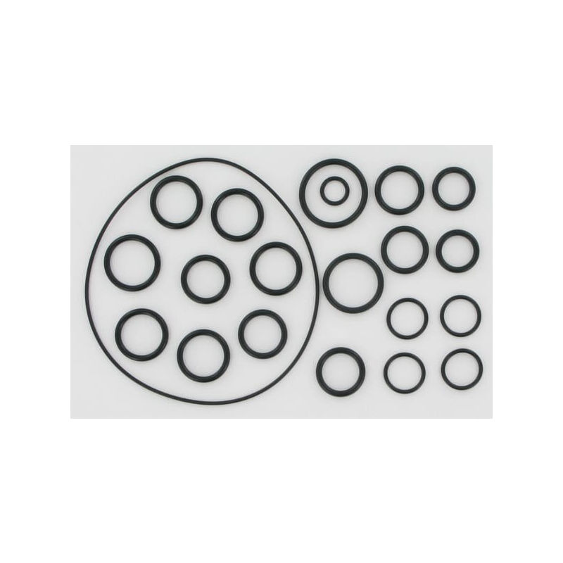 Filtre Eponge pour Aspirateur ESGREEN Electrolux