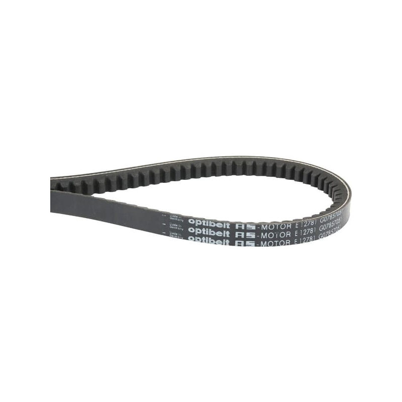 Cinghia Trapezoidale Per Trasmissione Tosaerba AS 26, Ricambio E03984 G07857003